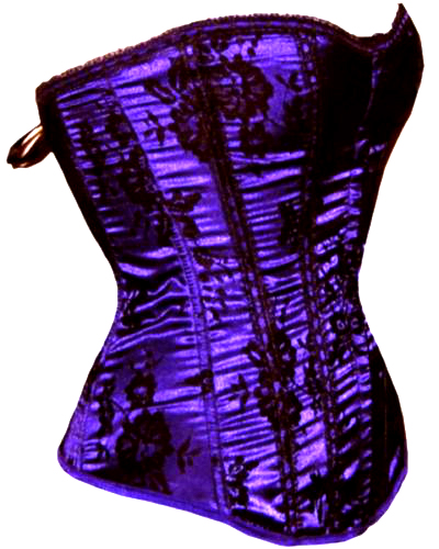 $25 Clearance Corset - Royal Purple Corset with delicate black lace overlay BF014purple (S,1x,2x, 1 left of each size) $25 Clearance Corset - Royal Purple Corset with delicate black lace overlay BF014purple (S,1x,2x, 1 left of each size)